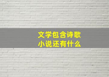 文学包含诗歌 小说还有什么